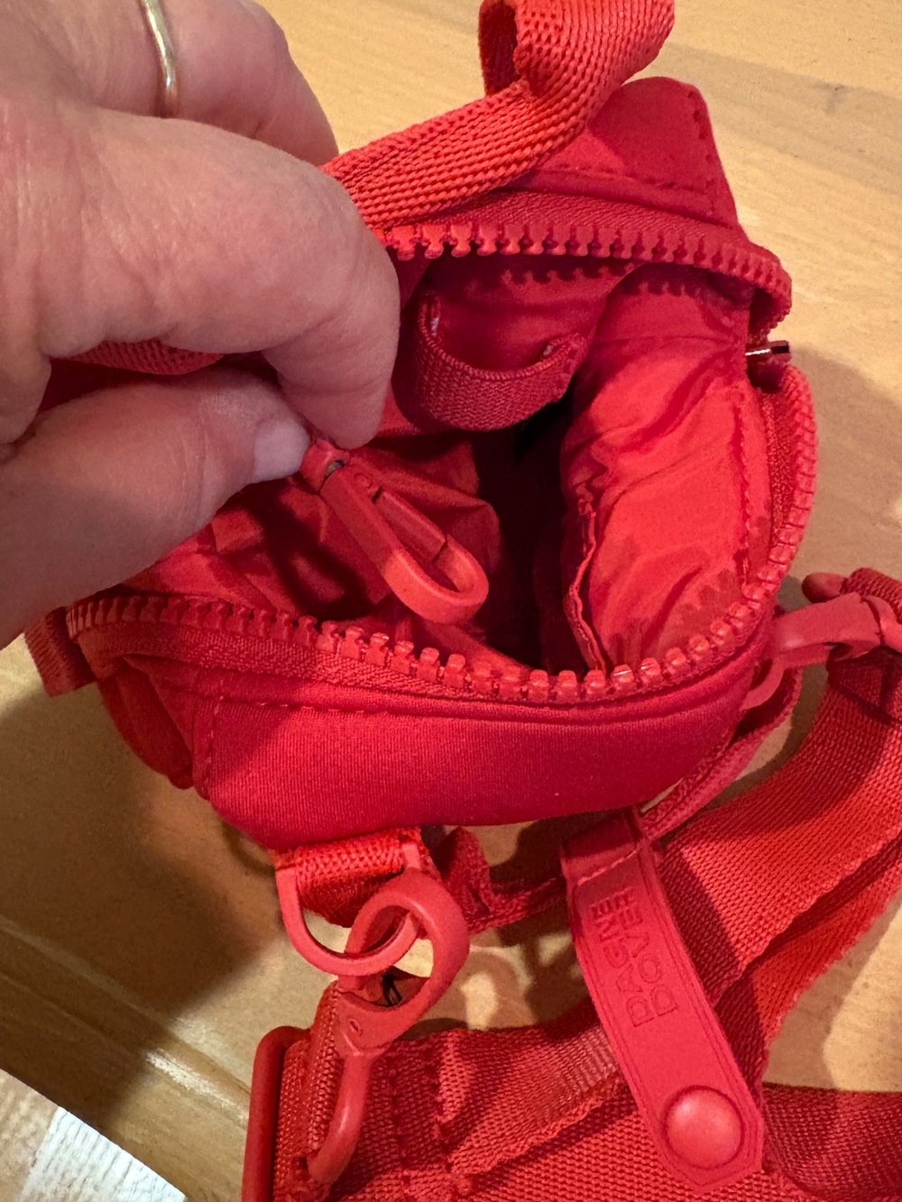 Dagne Dover Red Mini Crossbody Camera Bag - Picture 11 of 12